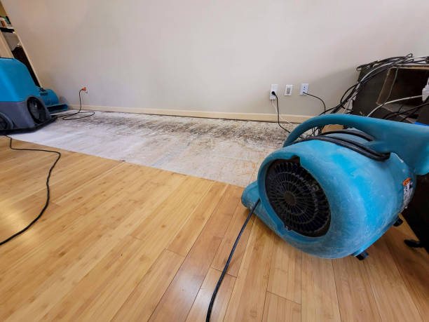 Professional Ceiling Water Damage Repair technician working in Bastrop, LA